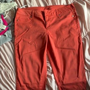 Maurices colored jeggings